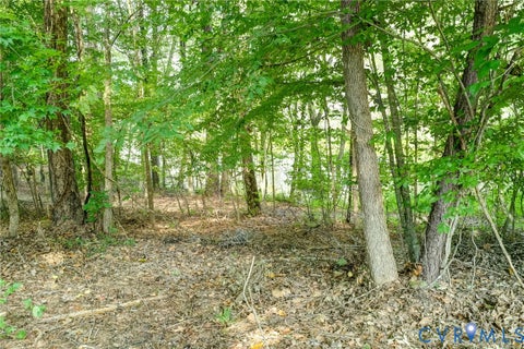 Tiny photo for 15618 Fox Cove Circle, Moseley, VA 23120 (MLS # 2624736)