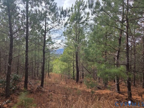 Photo for Lot 12 Secretarys Sand Road