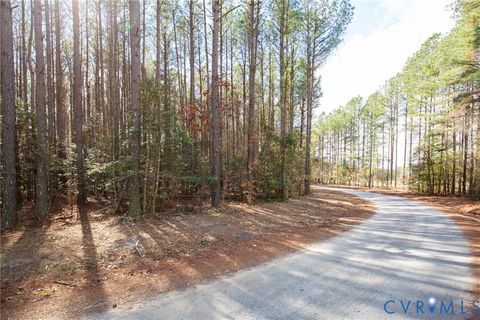 Photo of 3195 Piney Slope Lane, Providence Forge, VA 23140 (MLS # 2610482)