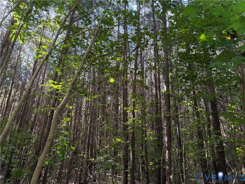 Tiny photo for 320 Skipper Lane, Yorktown, VA 23693 (MLS # 2626797)