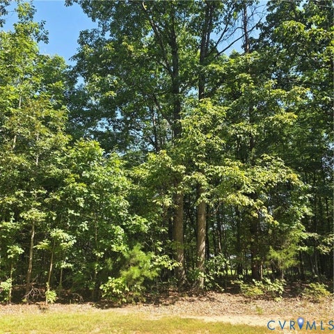 Photo of 0 Watkins Boulevard, Farmville, VA 23954 (MLS # 2623881)