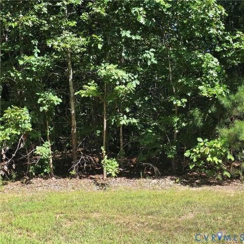 Tiny photo for 0 Watkins Boulevard, Farmville, VA 23954 (MLS # 2623881)