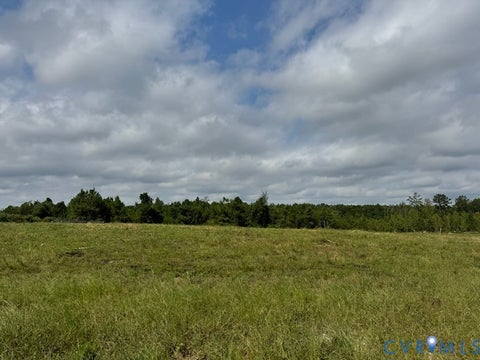 Tiny photo for TBD Lansing, South Prince George, VA 23805 (MLS # 2625506)
