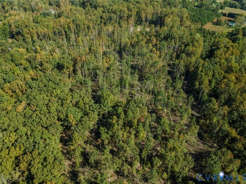 Tiny photo for 0 Hadensville Fife Road, Goochland, VA 23063 (MLS # 2627820)