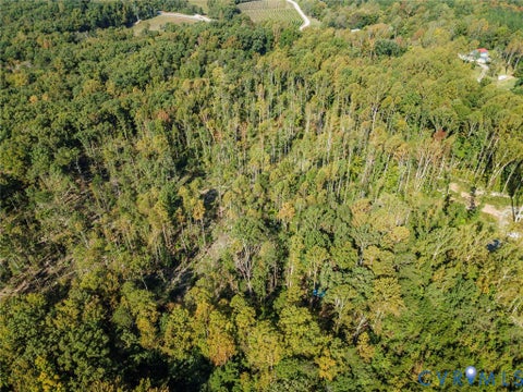 Tiny photo for 0 Hadensville Fife Road, Goochland, VA 23063 (MLS # 2627820)