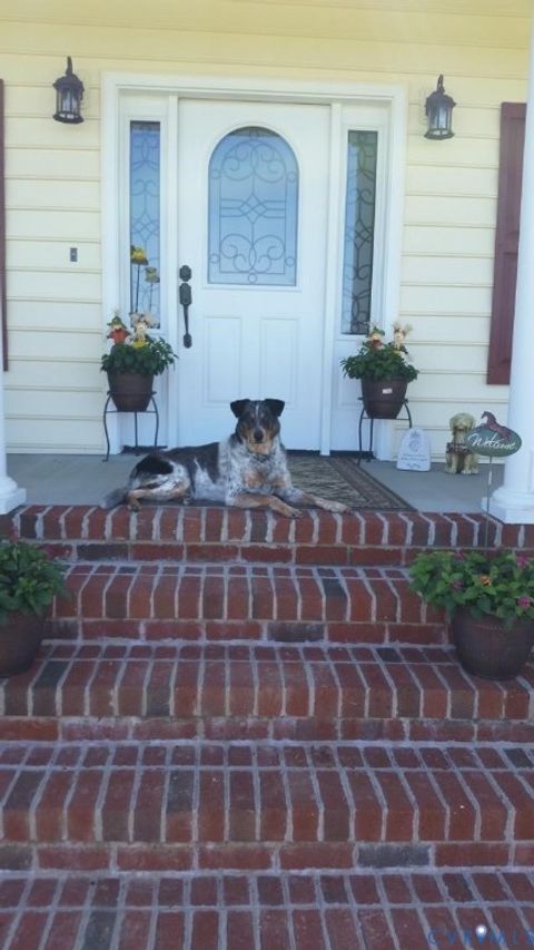 Tiny photo for 19890 River Road, Courtland, VA 23837 (MLS # 2611963)