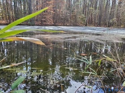 Tiny photo for 19890 River Road, Courtland, VA 23837 (MLS # 2611963)