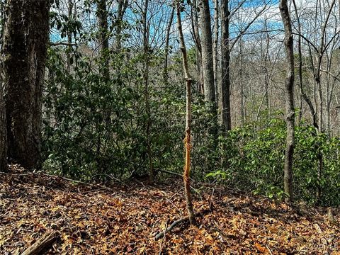 Tiny photo for 41.18 Acres (Off Of) Pole Bridge Rd, Stuart, VA 24171 (MLS # 2508870)