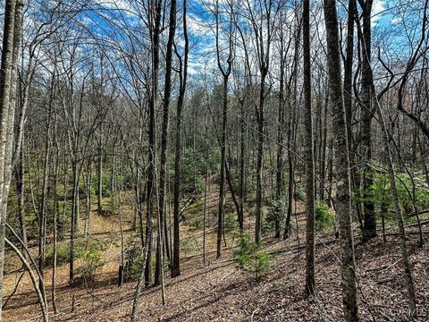 Tiny photo for 41.18 Acres (Off Of) Pole Bridge Rd, Stuart, VA 24171 (MLS # 2508870)