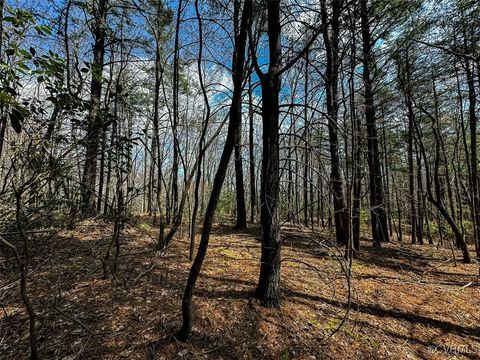 Tiny photo for 41.18 Acres (Off Of) Pole Bridge Rd, Stuart, VA 24171 (MLS # 2508870)