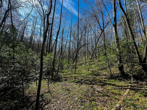 Tiny photo for 41.18 Acres (Off Of) Pole Bridge Rd, Stuart, VA 24171 (MLS # 2508870)