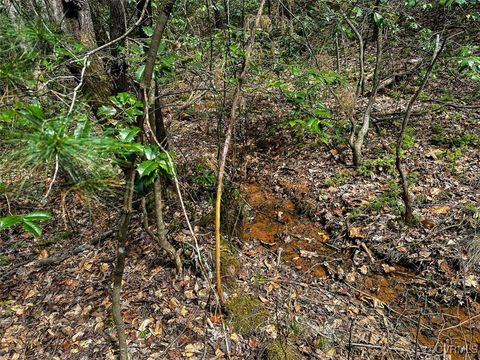 Tiny photo for 41.18 Acres (Off Of) Pole Bridge Rd, Stuart, VA 24171 (MLS # 2508870)