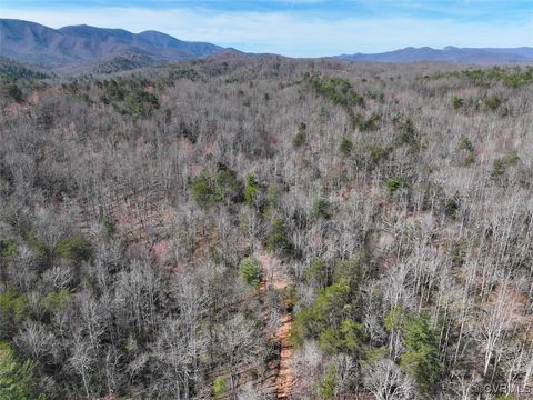Tiny photo for 41.18 Acres (Off Of) Pole Bridge Rd, Stuart, VA 24171 (MLS # 2508870)