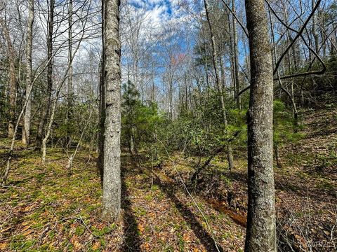 Tiny photo for 41.18 Acres (Off Of) Pole Bridge Rd, Stuart, VA 24171 (MLS # 2508870)