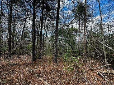 Tiny photo for 41.18 Acres (Off Of) Pole Bridge Rd, Stuart, VA 24171 (MLS # 2508870)