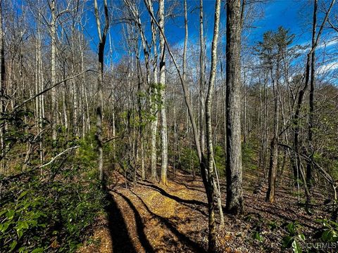 Tiny photo for 41.18 Acres (Off Of) Pole Bridge Rd, Stuart, VA 24171 (MLS # 2508870)