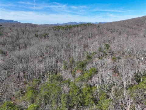 Tiny photo for 41.18 Acres (Off Of) Pole Bridge Rd, Stuart, VA 24171 (MLS # 2508870)