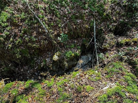 Tiny photo for 41.18 Acres (Off Of) Pole Bridge Rd, Stuart, VA 24171 (MLS # 2508870)