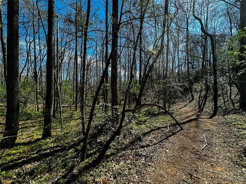 Tiny photo for 41.18 Acres (Off Of) Pole Bridge Rd, Stuart, VA 24171 (MLS # 2508870)