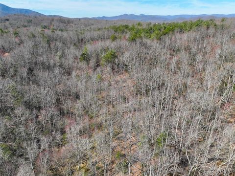 Tiny photo for 41.18 Acres (Off Of) Pole Bridge Rd, Stuart, VA 24171 (MLS # 2508870)