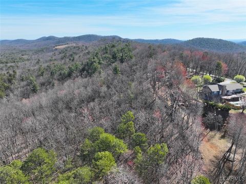Tiny photo for 41.18 Acres (Off Of) Pole Bridge Rd, Stuart, VA 24171 (MLS # 2508870)