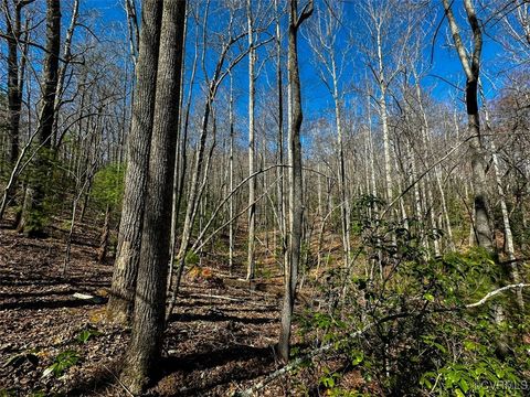 Tiny photo for 41.18 Acres (Off Of) Pole Bridge Rd, Stuart, VA 24171 (MLS # 2508870)