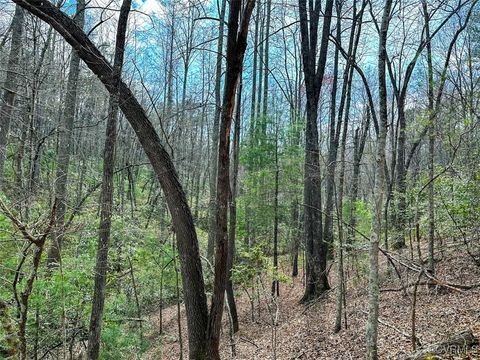 Tiny photo for 41.18 Acres (Off Of) Pole Bridge Rd, Stuart, VA 24171 (MLS # 2508870)