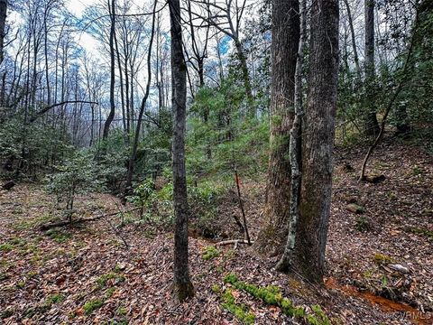 Tiny photo for 41.18 Acres (Off Of) Pole Bridge Rd, Stuart, VA 24171 (MLS # 2508870)