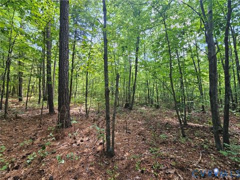Tiny photo for 4809 W James Anderson Highway, Gladstone, VA 24553 (MLS # 2608243)
