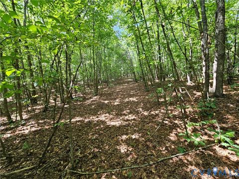 Tiny photo for 4809 W James Anderson Highway, Gladstone, VA 24553 (MLS # 2608243)