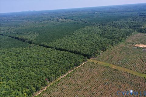 Tiny photo for 4809 W James Anderson Highway, Gladstone, VA 24553 (MLS # 2608243)