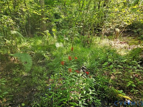 Tiny photo for 4809 W James Anderson Highway, Gladstone, VA 24553 (MLS # 2608243)