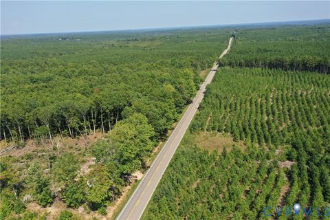 Tiny photo for 4809 W James Anderson Highway, Gladstone, VA 24553 (MLS # 2608243)