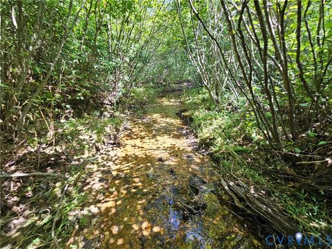 Tiny photo for 4809 W James Anderson Highway, Gladstone, VA 24553 (MLS # 2608243)