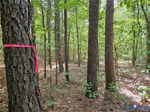 Tiny photo for 4809 W James Anderson Highway, Gladstone, VA 24553 (MLS # 2608243)