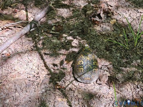 Tiny photo for 4809 W James Anderson Highway, Gladstone, VA 24553 (MLS # 2608243)