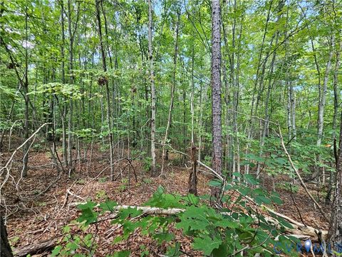 Tiny photo for 4809 W James Anderson Highway, Gladstone, VA 24553 (MLS # 2608243)