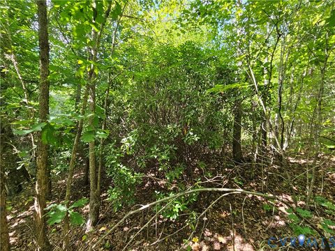 Tiny photo for 4809 W James Anderson Highway, Gladstone, VA 24553 (MLS # 2608243)
