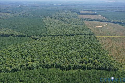 Tiny photo for 4809 W James Anderson Highway, Gladstone, VA 24553 (MLS # 2608243)