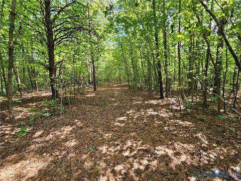 Tiny photo for 4809 W James Anderson Highway, Gladstone, VA 24553 (MLS # 2608243)