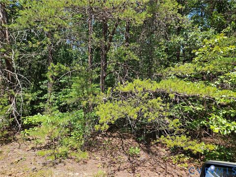 Tiny photo for 4809 W James Anderson Highway, Gladstone, VA 24553 (MLS # 2608243)