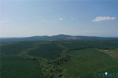 Tiny photo for 4809 W James Anderson Highway, Gladstone, VA 24553 (MLS # 2608243)