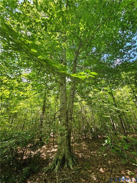 Tiny photo for 4809 W James Anderson Highway, Gladstone, VA 24553 (MLS # 2608243)