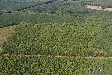 Tiny photo for 4809 W James Anderson Highway, Gladstone, VA 24553 (MLS # 2608243)