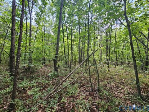 Tiny photo for 4809 W James Anderson Highway, Gladstone, VA 24553 (MLS # 2608243)