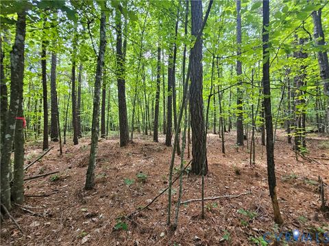 Tiny photo for 4809 W James Anderson Highway, Gladstone, VA 24553 (MLS # 2608243)