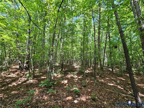 Tiny photo for 4809 W James Anderson Highway, Gladstone, VA 24553 (MLS # 2608243)
