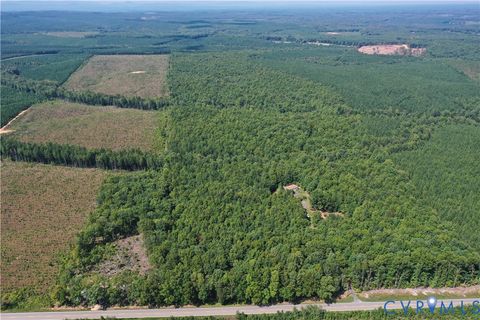 Tiny photo for 4809 W James Anderson Highway, Gladstone, VA 24553 (MLS # 2608243)