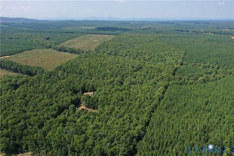 Tiny photo for 4809 W James Anderson Highway, Gladstone, VA 24553 (MLS # 2608243)