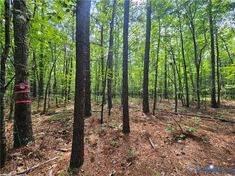 Tiny photo for 4809 W James Anderson Highway, Gladstone, VA 24553 (MLS # 2608243)
